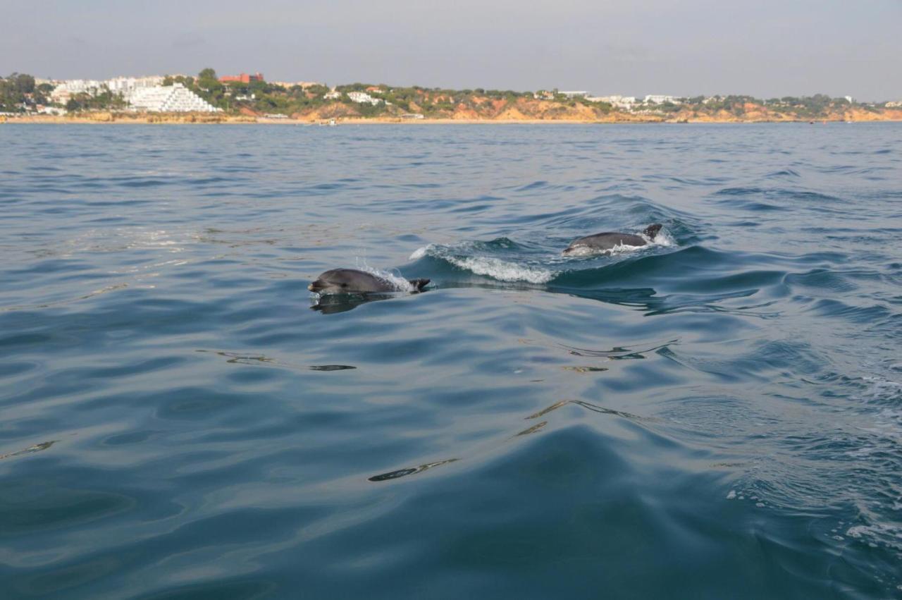 Apartamentos Carruna Albufeira Eksteriør billede
